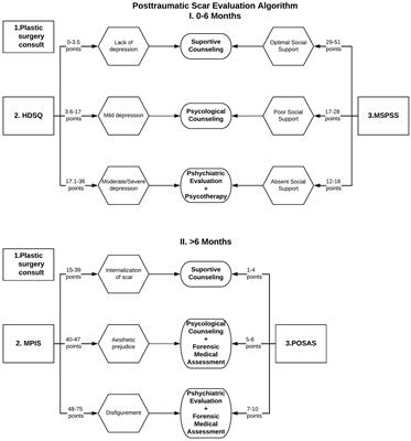 The practical utility of psychometric scales for the assessment of the impact of posttraumatic scars on mental health